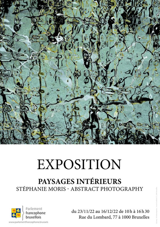 Affiche A1 Stéphanie_.jpg